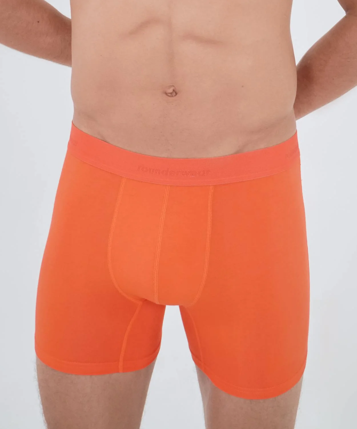 Essentials Cotton Boxer Brief - Image 37