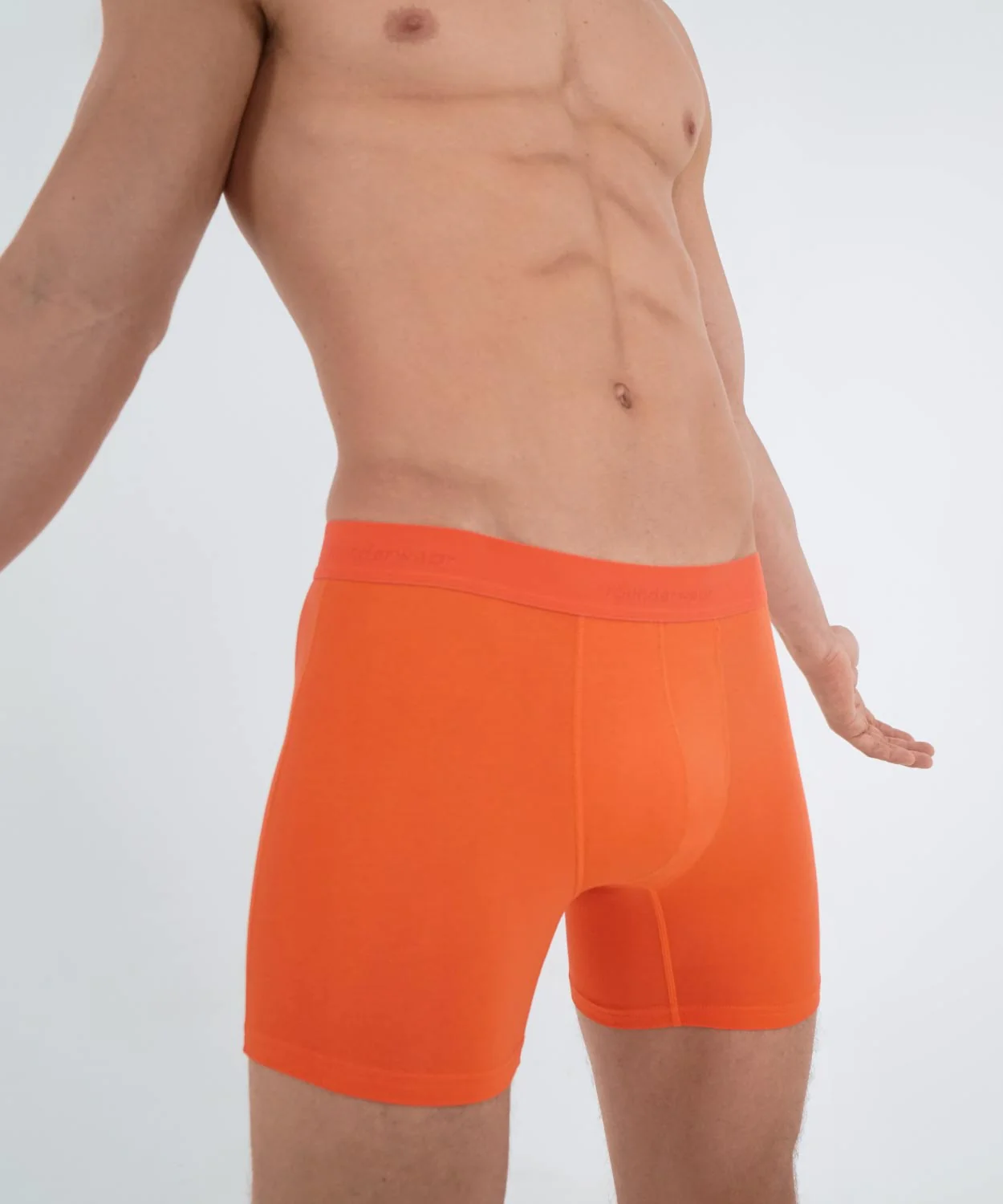 Essentials Cotton Boxer Brief - Image 40