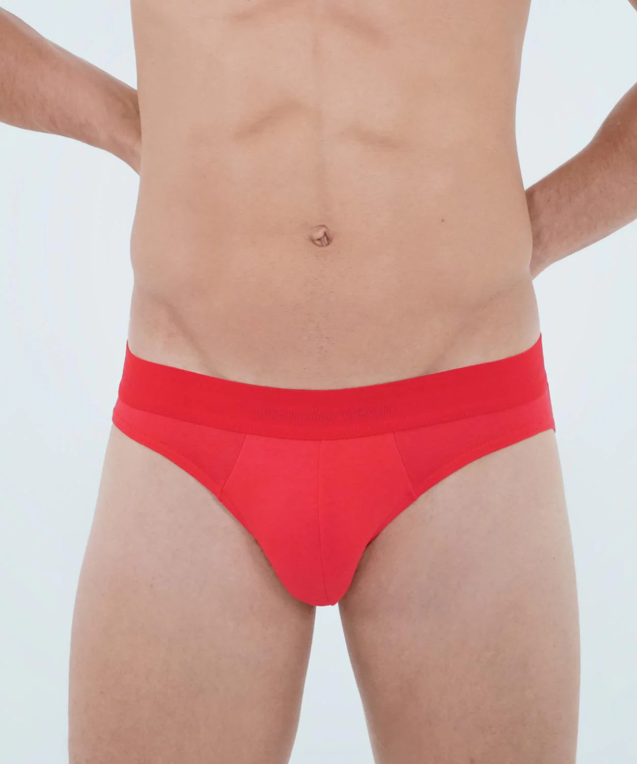 Essentials Cotton Brief - Image 26