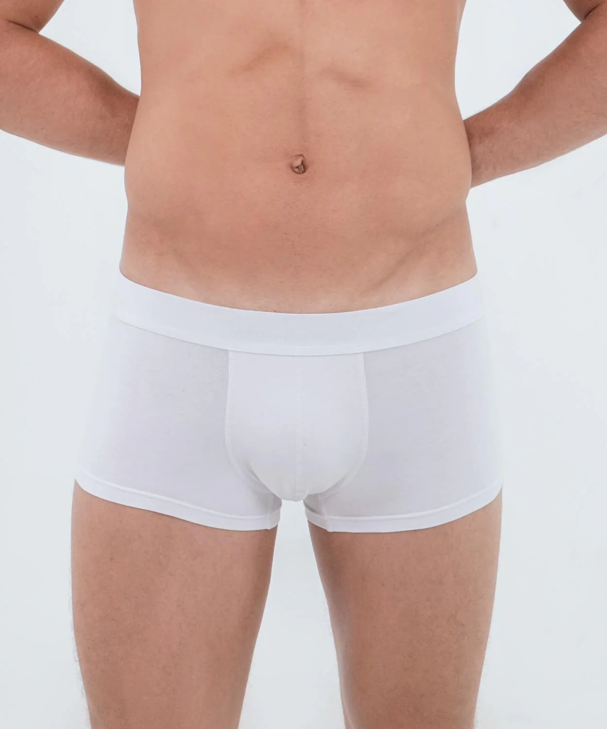 Essentials Cotton Hipster Trunk - Image 18