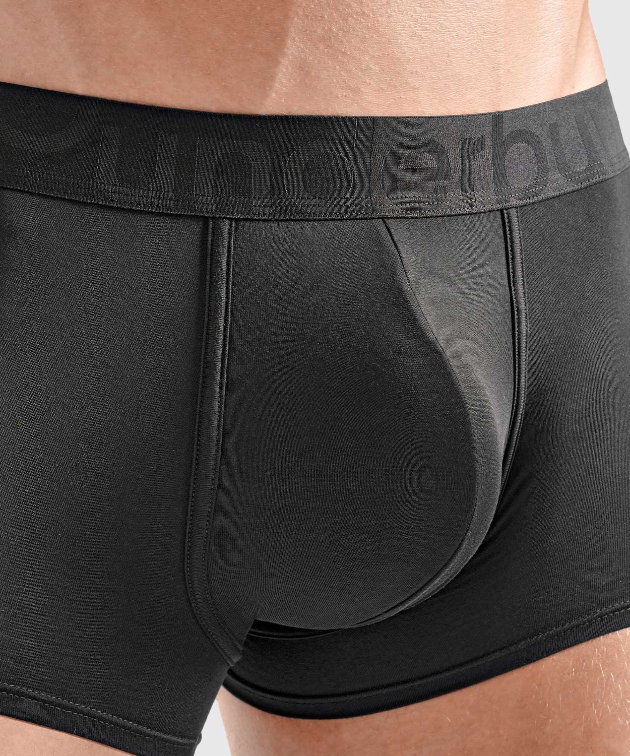 Padded Trunk Modal - Image 4
