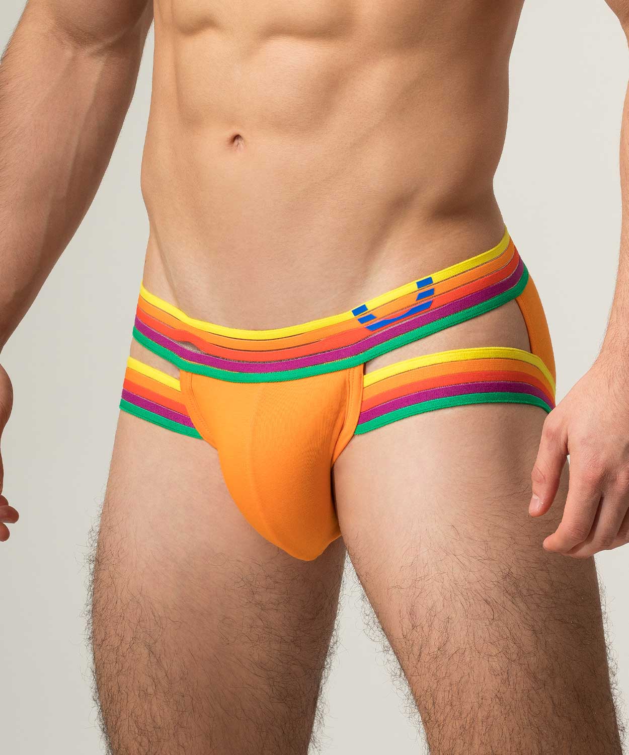 RAINBOW RUSH Lift Holster Brief - Image 11