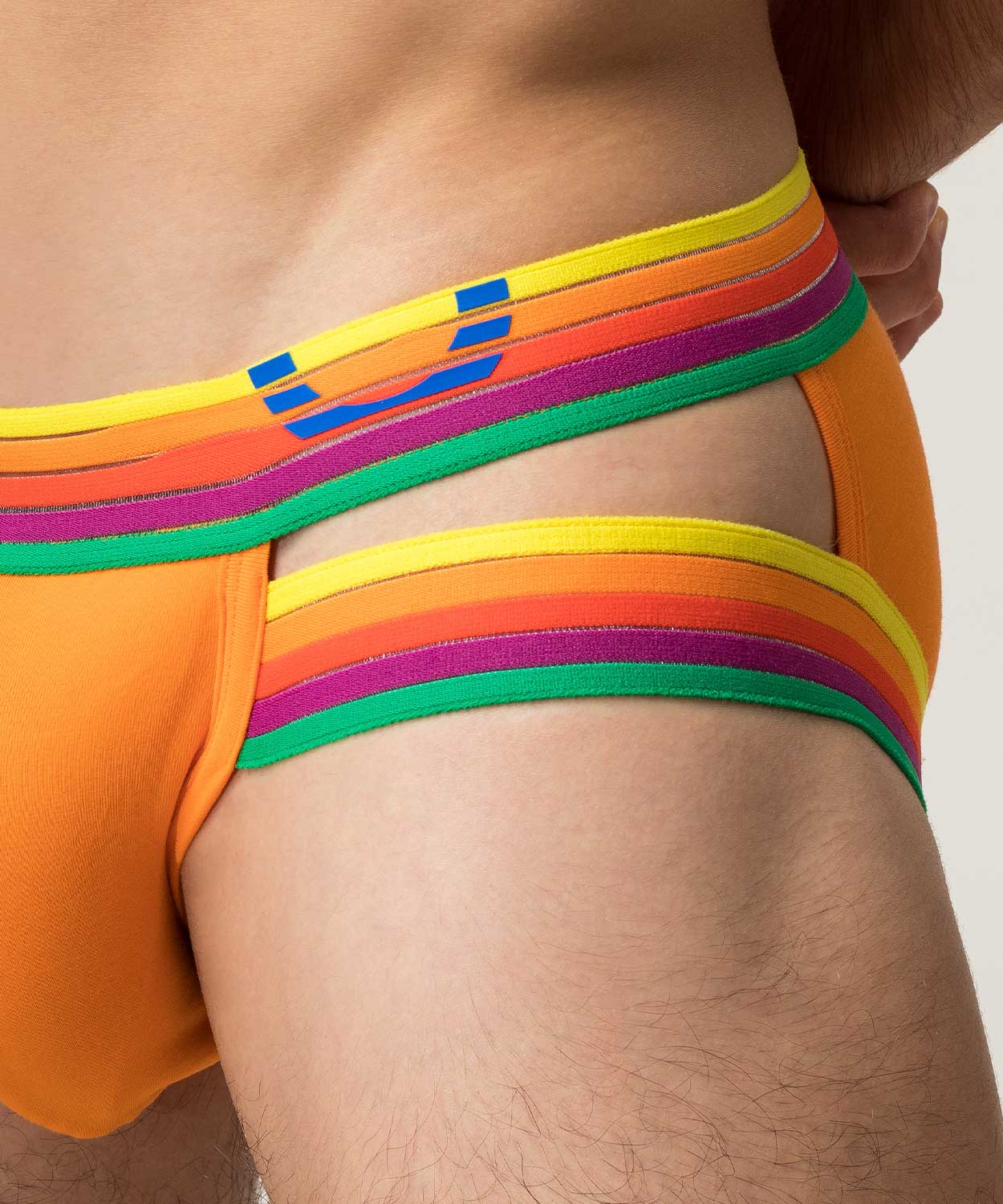 RAINBOW RUSH Lift Holster Brief - Image 13