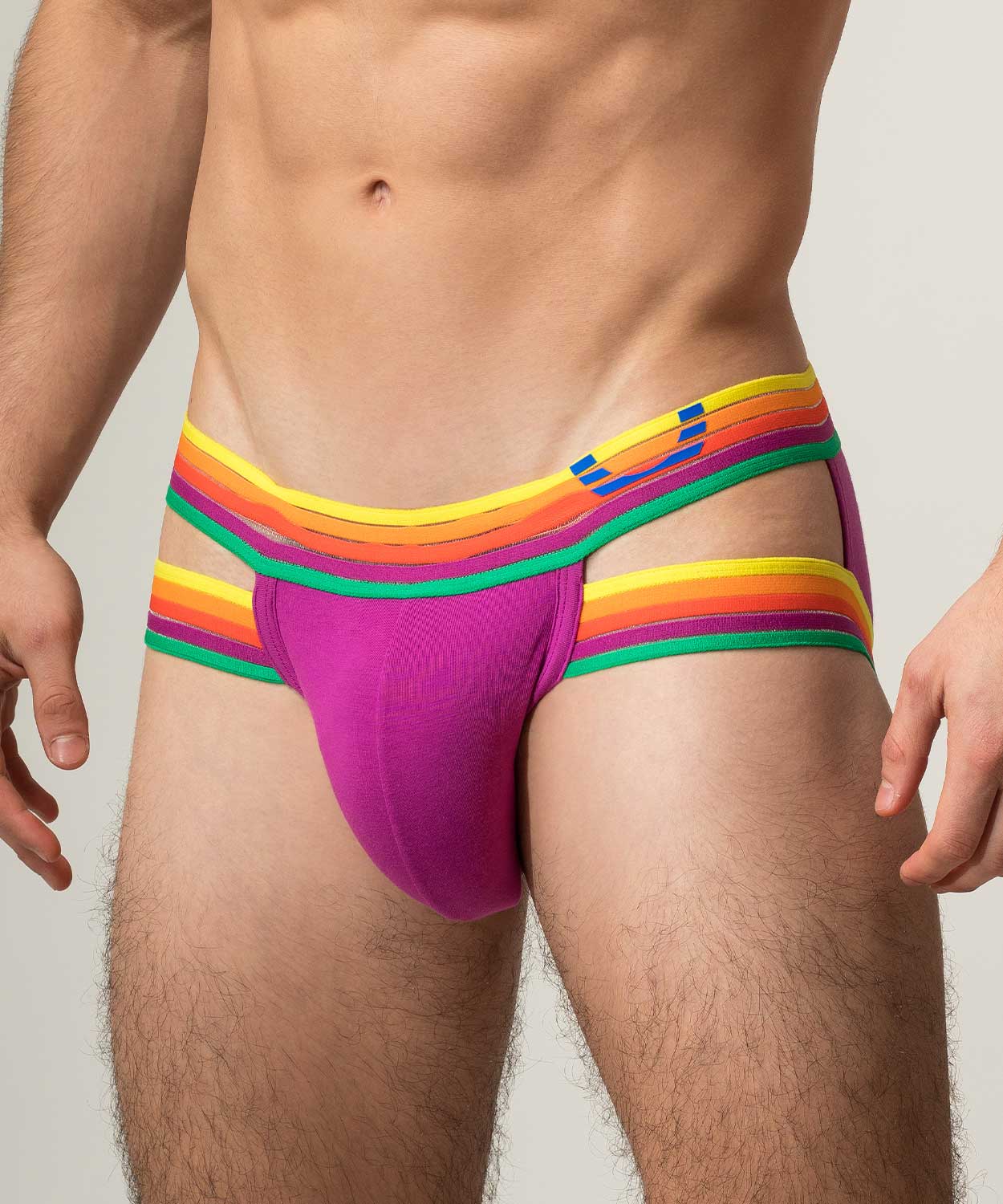 RAINBOW RUSH Lift Holster Brief - Image 27
