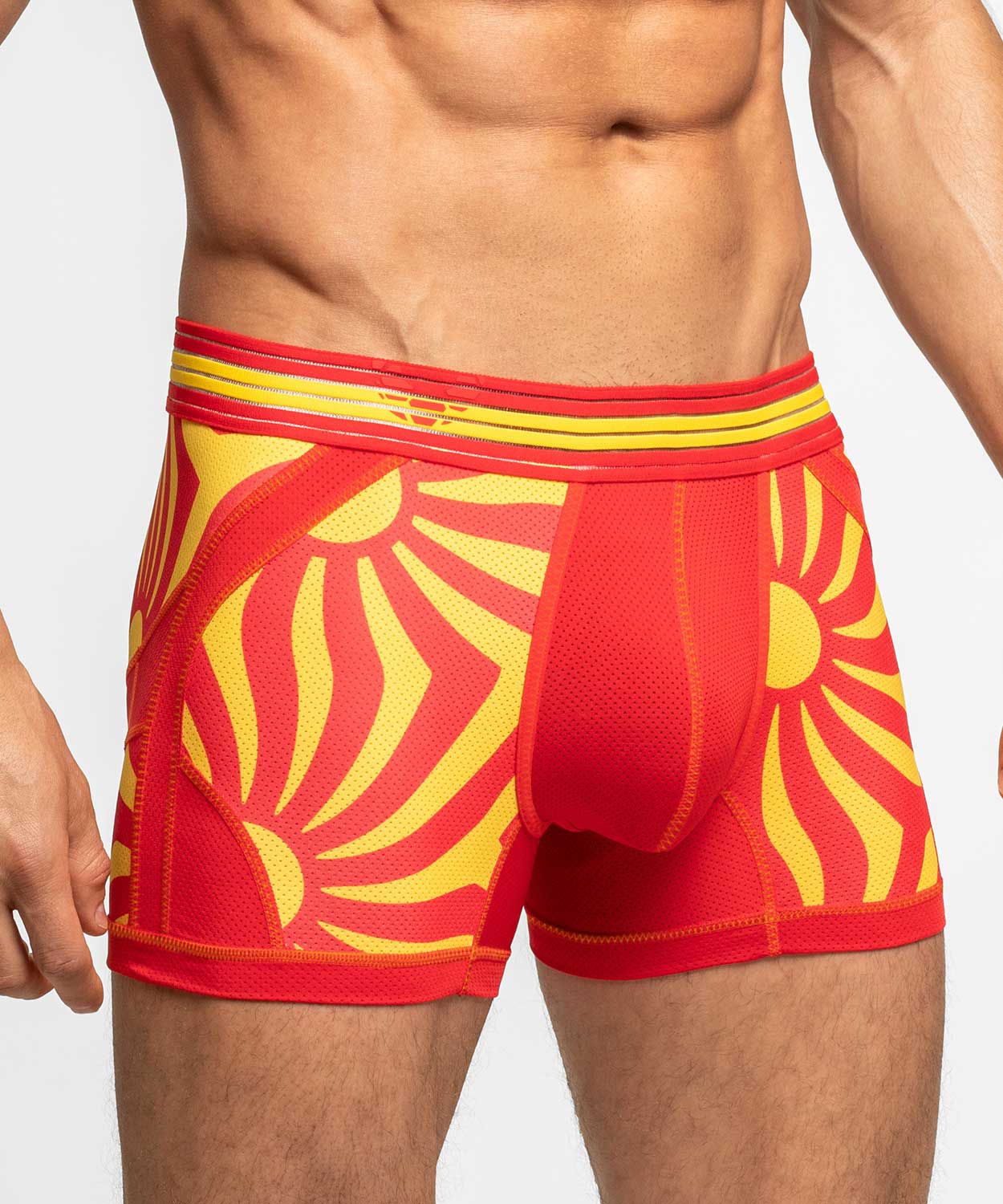 SOCCER EDITION Anatomic Trunk - Image 8