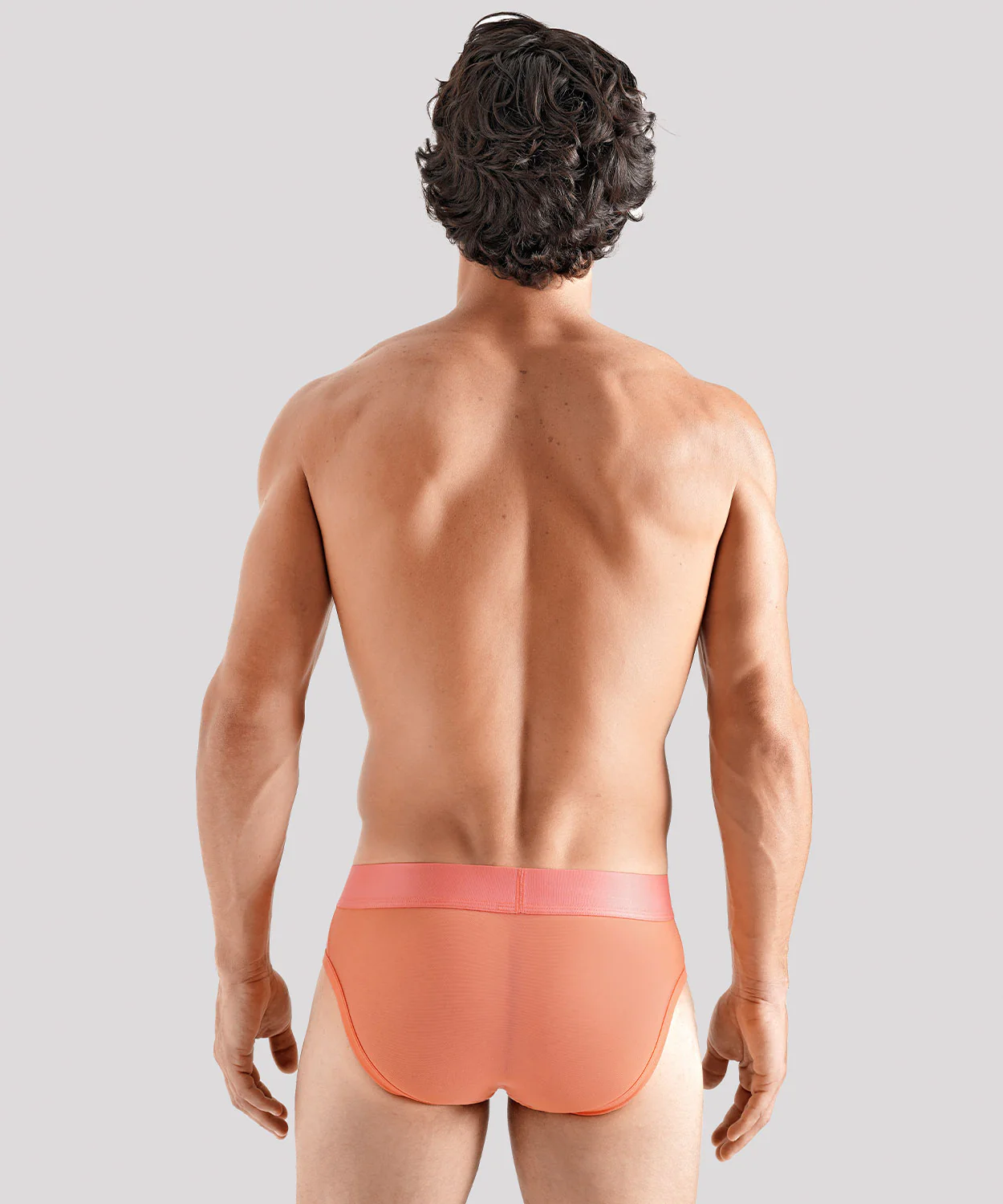 TRANSPARENT PRIDE Package Brief - Image 16