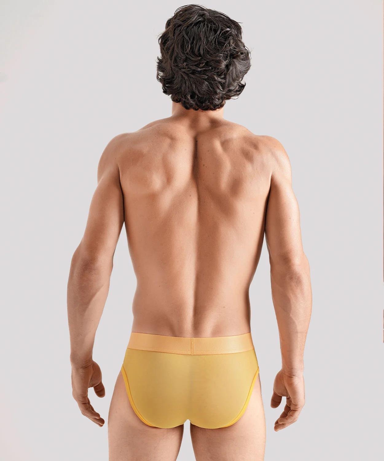 TRANSPARENT PRIDE Package Brief - Image 23