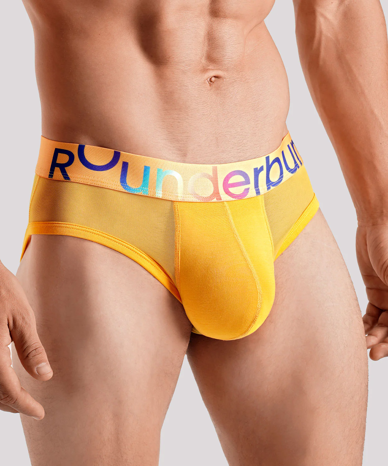 TRANSPARENT PRIDE Package Brief - Image 27