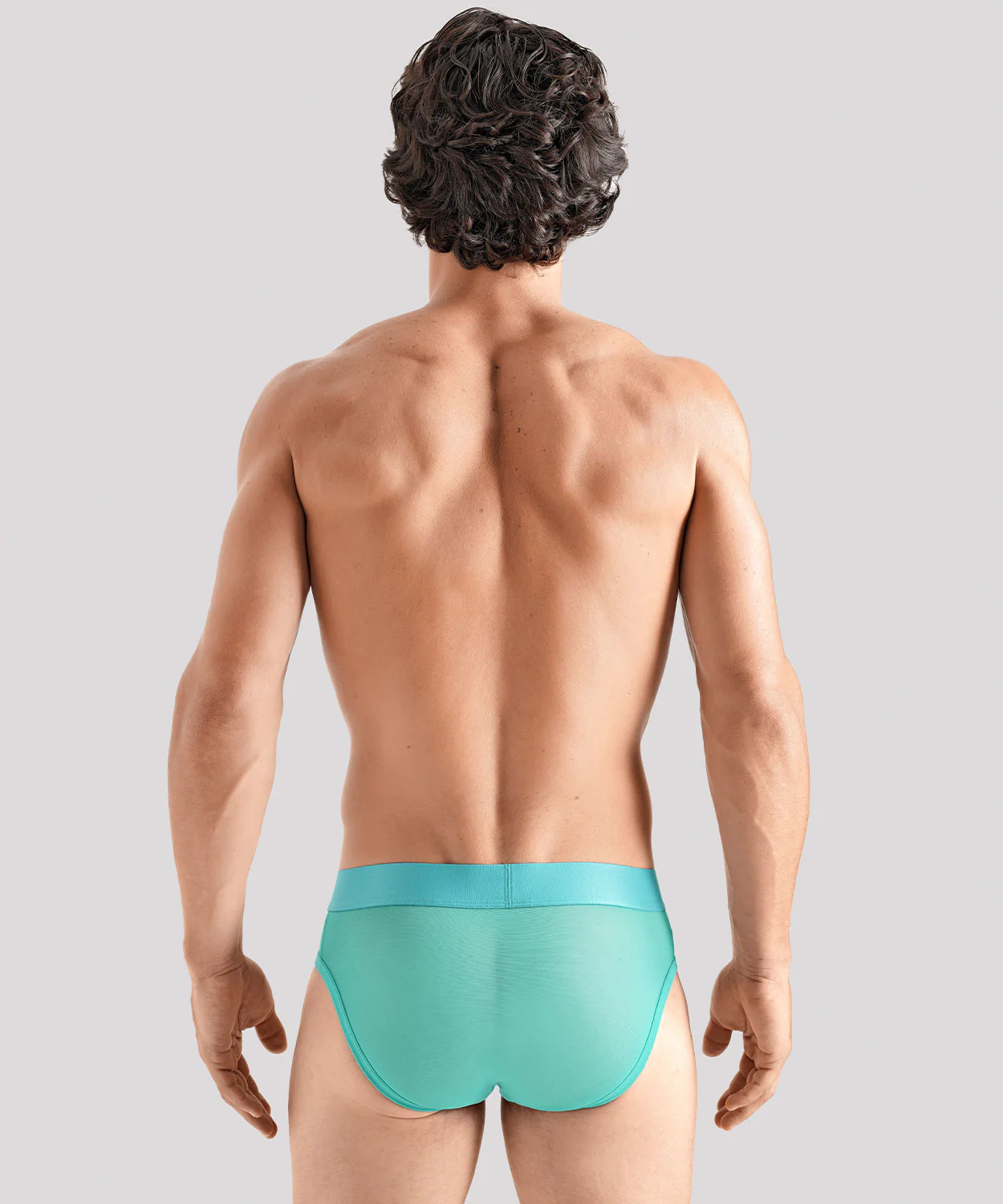 TRANSPARENT PRIDE Package Brief - Image 29