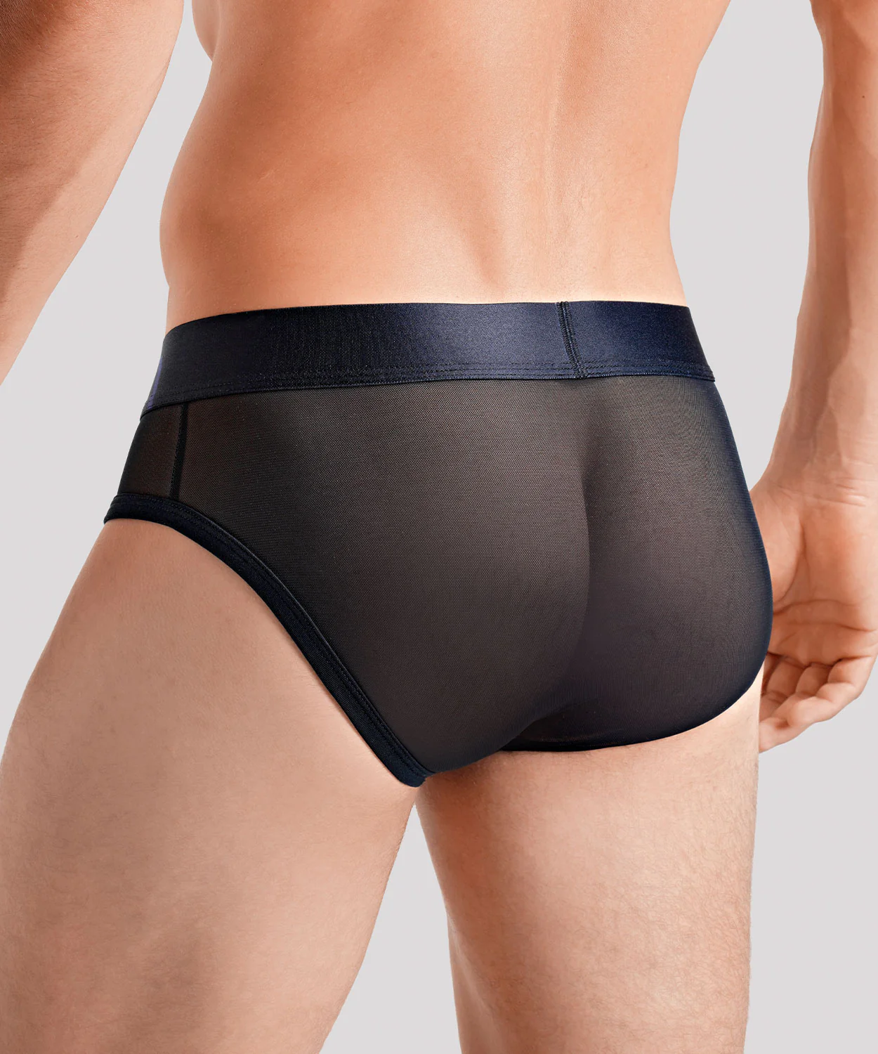 TRANSPARENT PRIDE Package Brief - Image 39