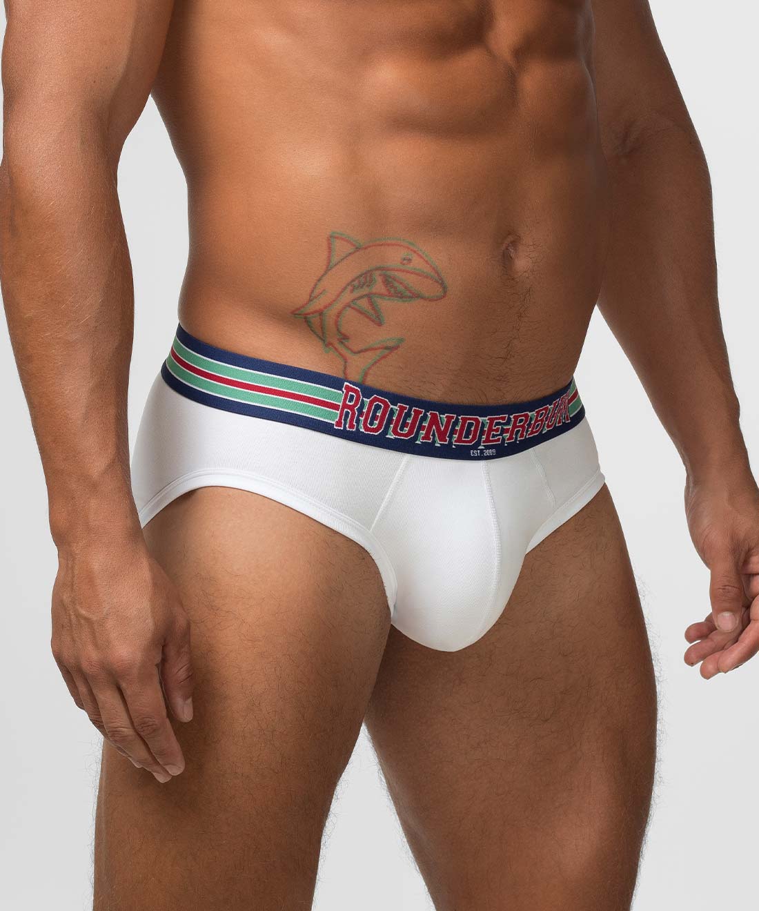 VARSITY Package Brief 5-Pack - Image 11